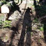 Profile Picture of Andrew Mcintosh (@mcintosh_trailworks) on Instagram