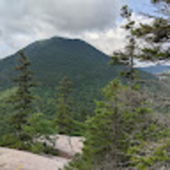 Profile Picture of Laura Bonitatibus (@l_bonitatibus) on Poshmark