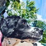 Profile Picture of Ben Faulkner (@ben_faulkner_908) on Instagram