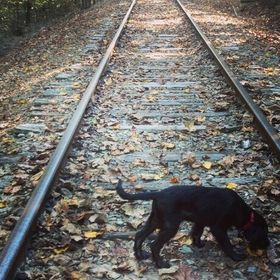 Profile Picture of Skye Harrison (@lskyeh) on Pinterest