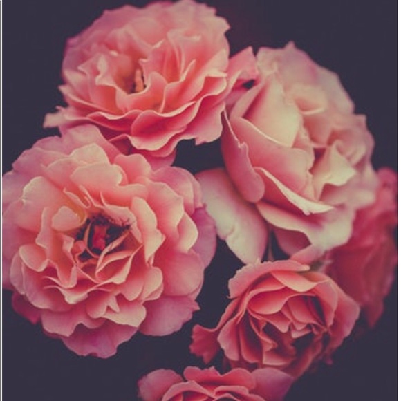 Profile Picture of Shae Allen (@destinyallen311) on Poshmark