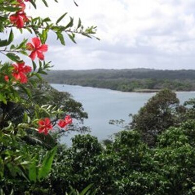 Profile Picture of Villaricajanis (@JanisFowler) on Twitter