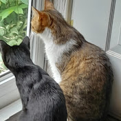 Krystal Neill - Youtube Profile Picture of Krystal Neill (@krystalneill2669) on Youtube