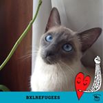 Profile Picture of Isabelle Regnier (@isabelle.regnier.90) on Instagram