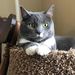 Profile Picture of Matthew John (@socham939) on Pinterest