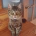 Profile Picture of Denis Bastien (@denis.bastien.14) on Facebook