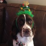 Profile Picture of Sadie Mae McElhaney (@sadie_the_lady25) on Instagram