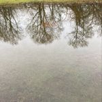 Profile Picture of Nick simpson (@simpson.nick) on Instagram