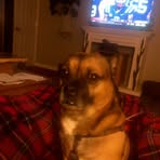 Profile Picture of Robert Ruwaldt (@robert.ruwaldt.39) on Facebook