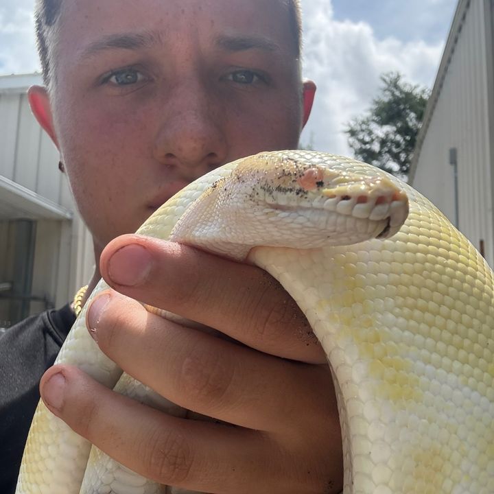 Profile Picture of Liam Fitzsimmons405 (@fitzrich11) on Tiktok