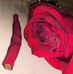 Profile Picture of Kevin Banes (@Kevin-Banes) on Facebook