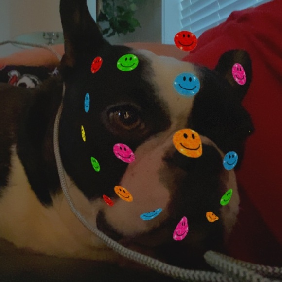 Profile Picture of Daniel Hallstrom (@danielxbxba) on Poshmark