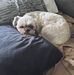 Profile Picture of Joel Boucher (@joel.boucher.927) on Facebook