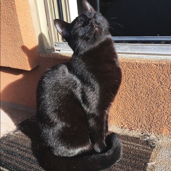 Profile Picture of Ethyopia Smith (@ethyopia) on Poshmark