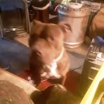 Profile Picture of Steve Sharpsteen (@Steve-Sharpsteen) on Facebook