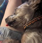 Profile Picture of Kelli Sampson (@kelli.sampson.56) on Facebook