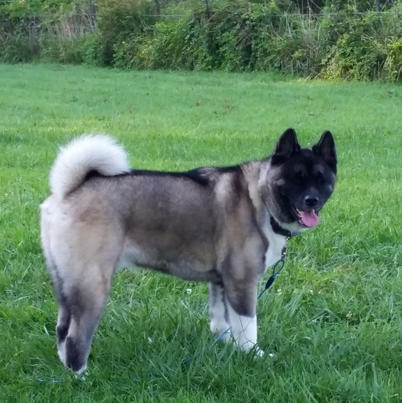 Tracy Sowash - Poshmark Profile Picture of Tracy Sowash (@tmsowash09) on Poshmark