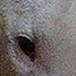 Profile Picture of Walter Mendez (@Walter A. M?ndez) on Flickr