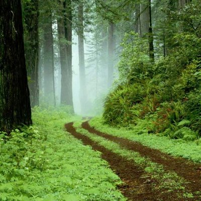 Profile Picture of Nathan McGovern (@nathan20171) on Twitter