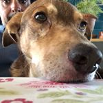 Profile Picture of Toni Ayuste (@ayustetoni) on Instagram