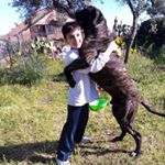 Profile Picture of Nicholas Barbagallo (@barbagallonicholas) on Instagram