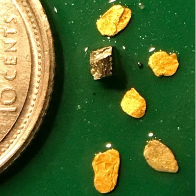 Profile Picture of David Bartsch (@GoProspecting) on Twitter