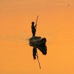 Profile Picture of Suresh Chandra Menon (@suresh_chandra_menon) on Instagram