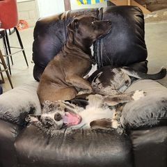 Profile Picture of adamhalverson79 (@adamhalverson79) on Tiktok