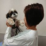 Profile Picture of 平田よし子 (@pingtianyoshizi) on Instagram