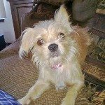 Profile Picture of Marcus Rutledge (@hitch2013) on Instagram