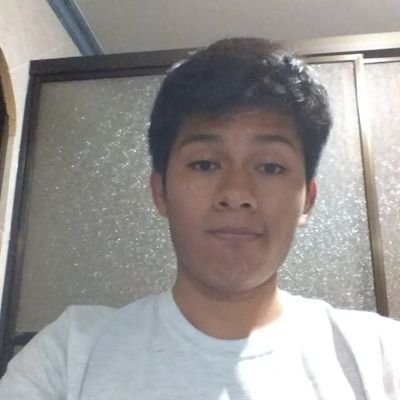 Profile Picture of Jose Luis Villca Villegas (@villca_villegas) on Twitter