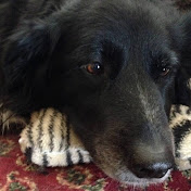 Profile Picture of Sara Hopp (@mantofev) on Youtube