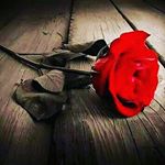 Profile Picture of nawal khalid (@kalnawal) on Instagram