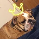 Profile Picture of Doris Drake (@doristhebulldog515) on Instagram