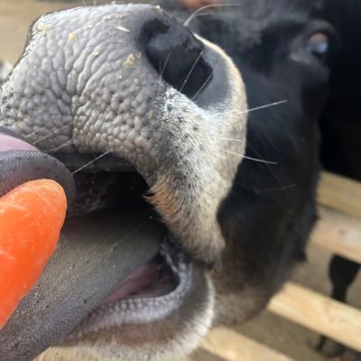 Profile Picture of Jeremy Lock (@Jeremylock7) on Twitter
