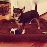Profile Picture of Taryn Curry (@taryn-curry-1) on Quora