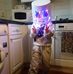 Profile Picture of Keith Hulme (@keith.hulme.921) on Facebook