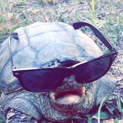 Profile Picture of Jabronius Monk (@AaronGrych) on Twitter
