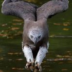 Profile Picture of Matthew Littlejohn (@matthew.littlejohn.750) on Facebook