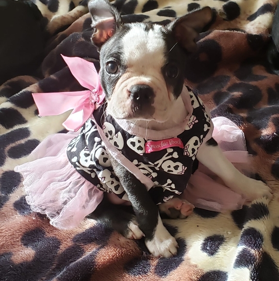 Profile Picture of Jan Andrews (@jansrews6031) on Poshmark