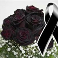 Profile Picture of María José Pazmiño (@maría-josé-pazmiño-1) on Quora