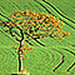 Paul Mentink - Flickr Profile Picture of Paul Mentink (@paul.mentink) on Flickr