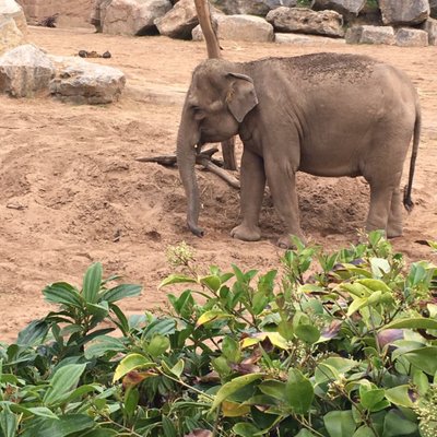 Mr Fisher - Twitter Profile Picture of Mr Fisher (@JoeMaragh2) on Twitter