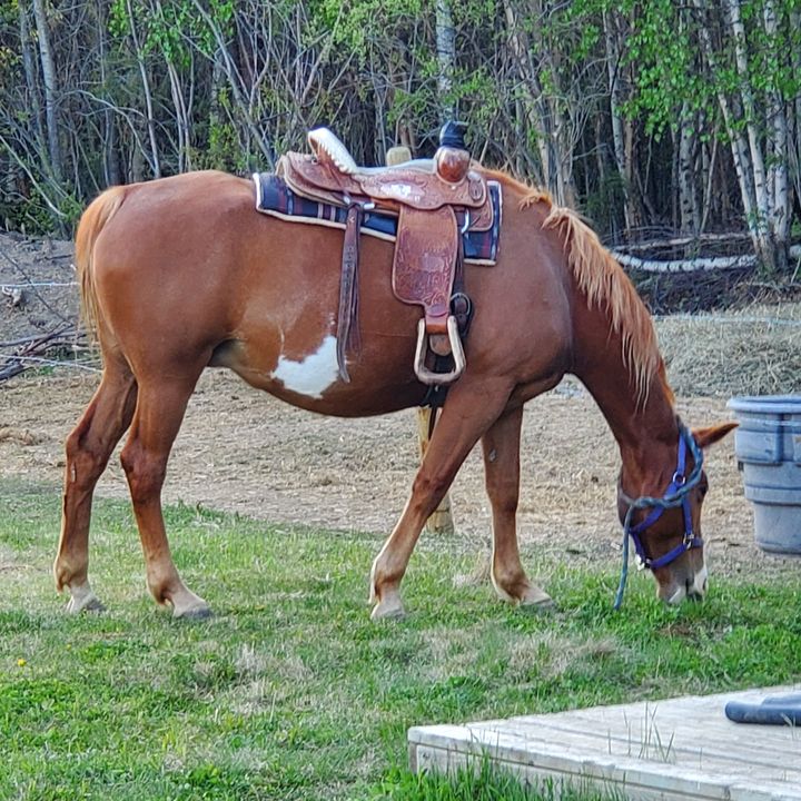 Profile Picture of Dwayne Beaverbone (@dwaynebeaverbone50) on Tiktok