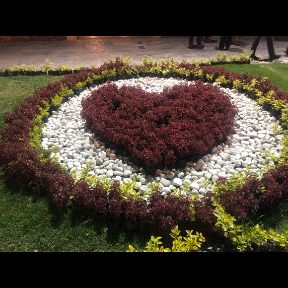 Profile Picture of Alice Moran (@ecilaaki) on Poshmark