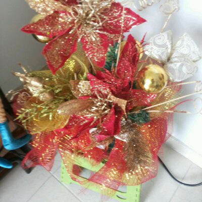 Profile Picture of Nidia Barrera (@nidiabarrerag) on Twitter