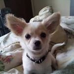 Profile Picture of Sebastian Cuenca (@sebastian.cuenca03) on Instagram