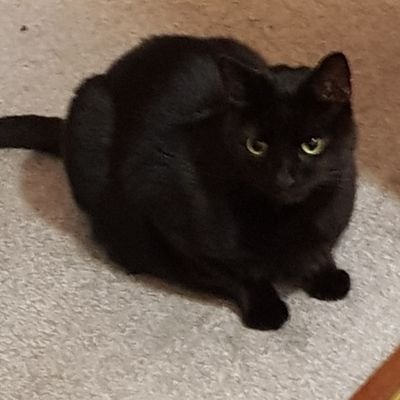 Profile Picture of John Milroy (@JohnMilroy9) on Twitter