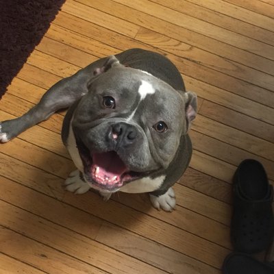 Profile Picture of Herbert Miranda (@broHerbert) on Twitter