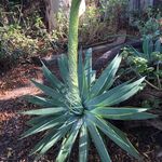 Profile Picture of Marilyn Bos (@bosmarilyn) on Instagram